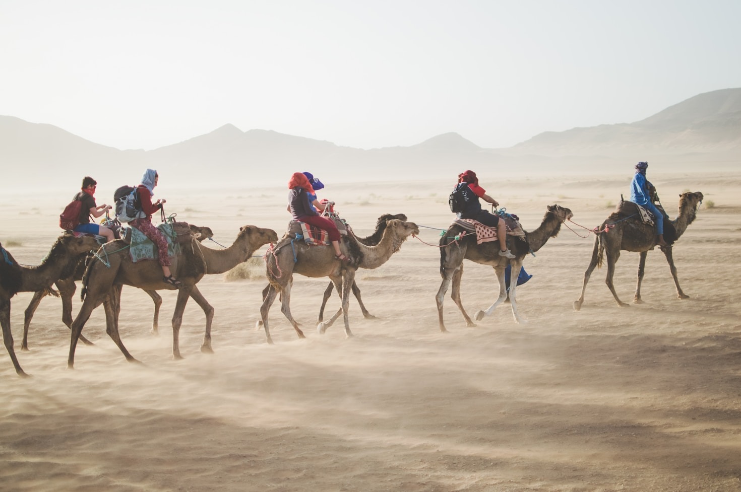 Top 5 Reasons to Choose Camel Rides in Dubai