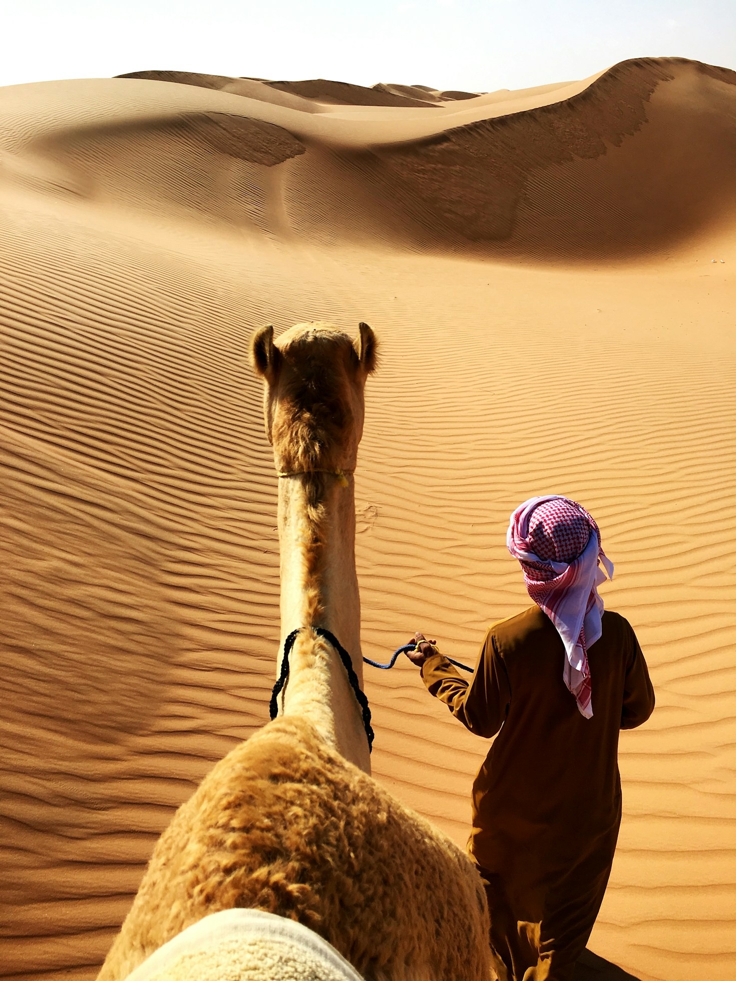 A Guide to Dubai’s Desert Camel Tours
